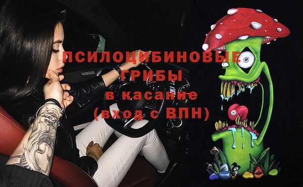 дживик Балахна
