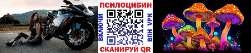 Галлюциногенные грибы мицелий  где найти   Нея 